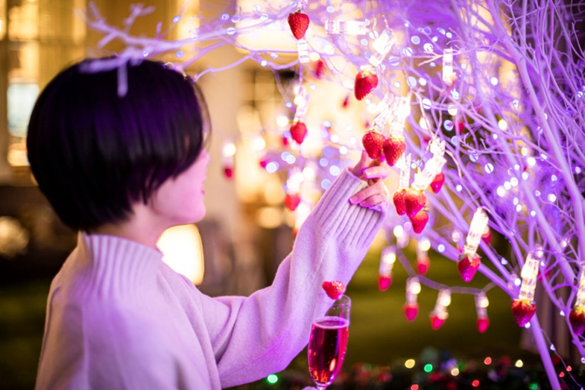 魅惑のストロベリーナイト