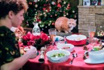 映画『ボブという名の猫2　幸せのギフト』場面写真