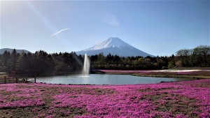 『じゃらん』一度は行ってみたい花絶景ランキング