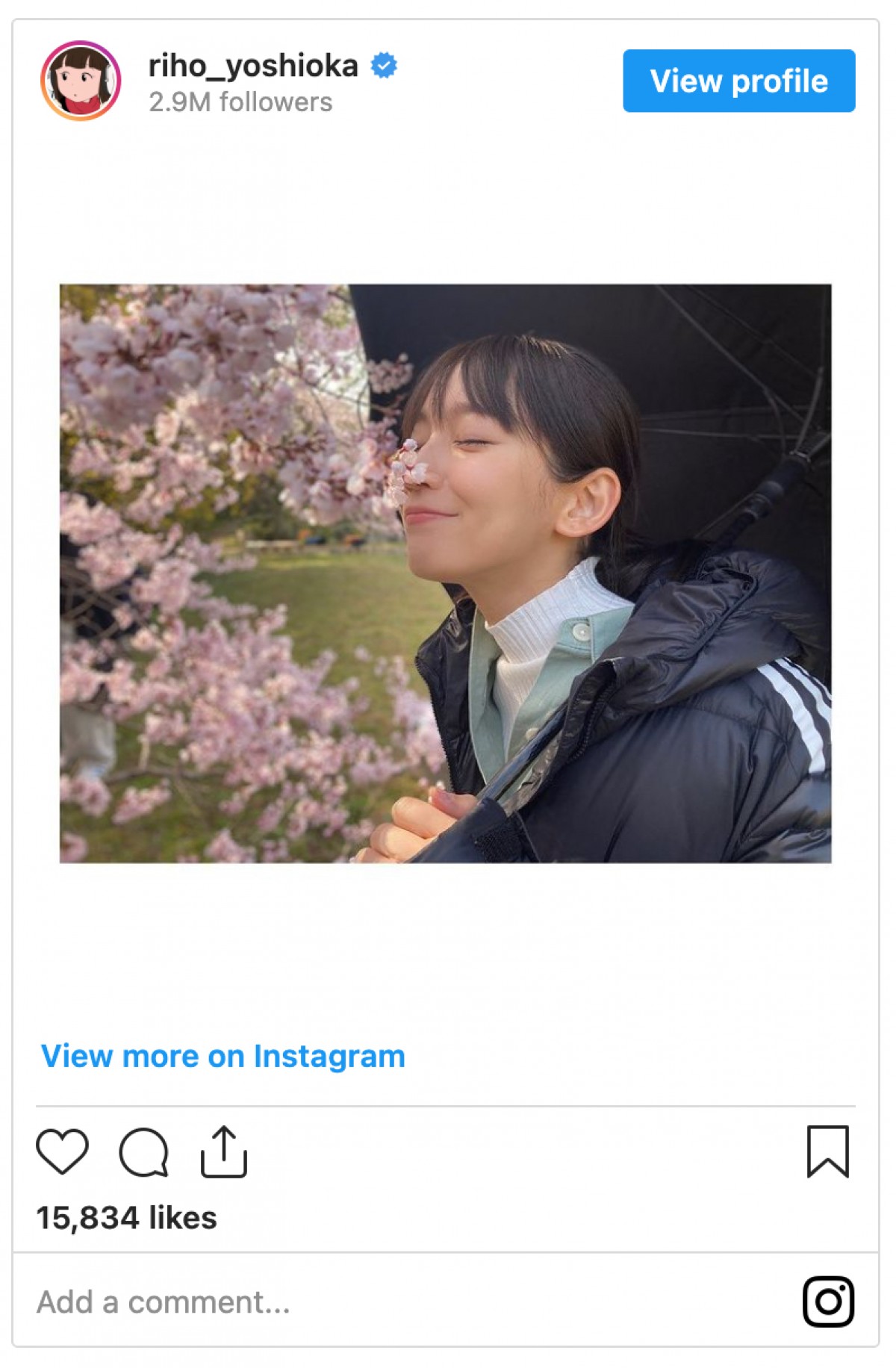 吉岡里帆、満開の桜とたわむれる姿に「いい写真」「桜になりたい」の声