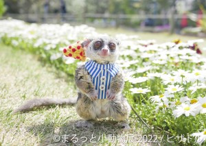 20220414＿「まるっと小動物展 2022」