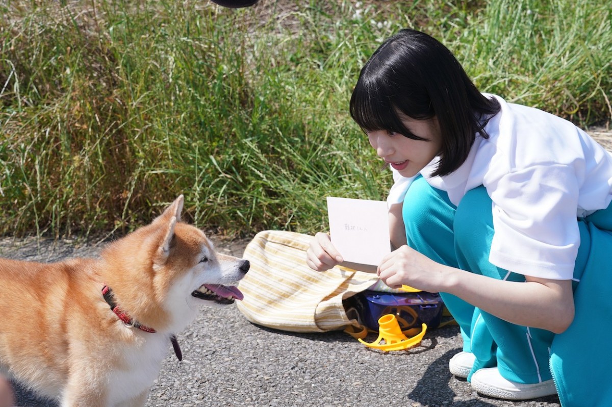 『ナンバMG5』特別編　剛の愛犬・松が家出　1通の“手紙”をめぐる騒動を巻き起こす