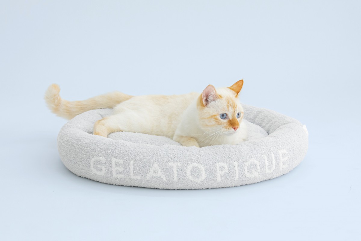 「GELATO PIQUE CAT＆DOG（ジェラート ピケ キャット＆ドッグ）」