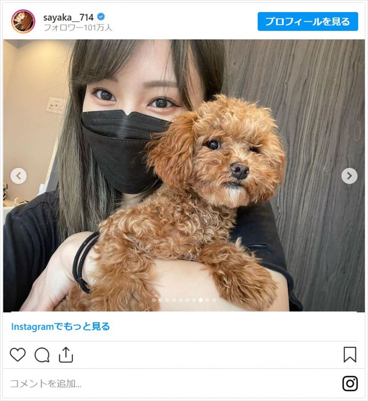 山本彩、“保護犬・猫カフェ”へ「小さくても出来ることは確実にある」