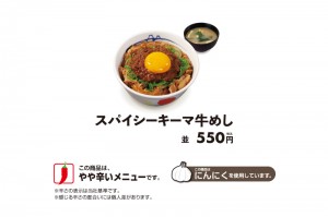 220819_スパイシーキーマ牛めし