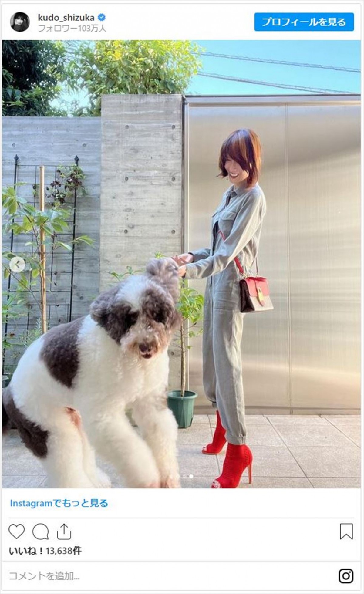 工藤静香、ビッグな愛犬が愛あふれる“ドンッ”「吹っ飛んじゃいそう」