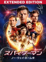 映画『スパイダーマン：ノー・ウェイ・ホーム　エクステンデッド・エディション』キービジュアル