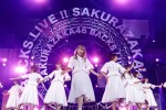 櫻坂46「BACKS LIVE!!」