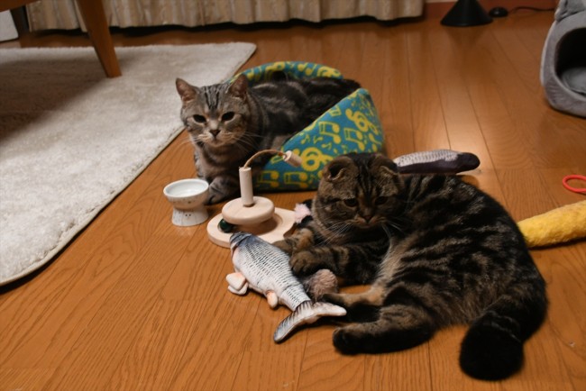 小島よしお 警視庁 捜査一課長 ゲストに 伝説の一発屋プログラマー熱演もまさかのng 22年5月12日 写真 ドラマ ニュース クランクイン 小島よしお 警視庁 捜査一課長 ゲストに 伝説の一発屋プログラマー熱演もまさかのng 22年5月12日 写真 ドラマ ニュース クランクイン