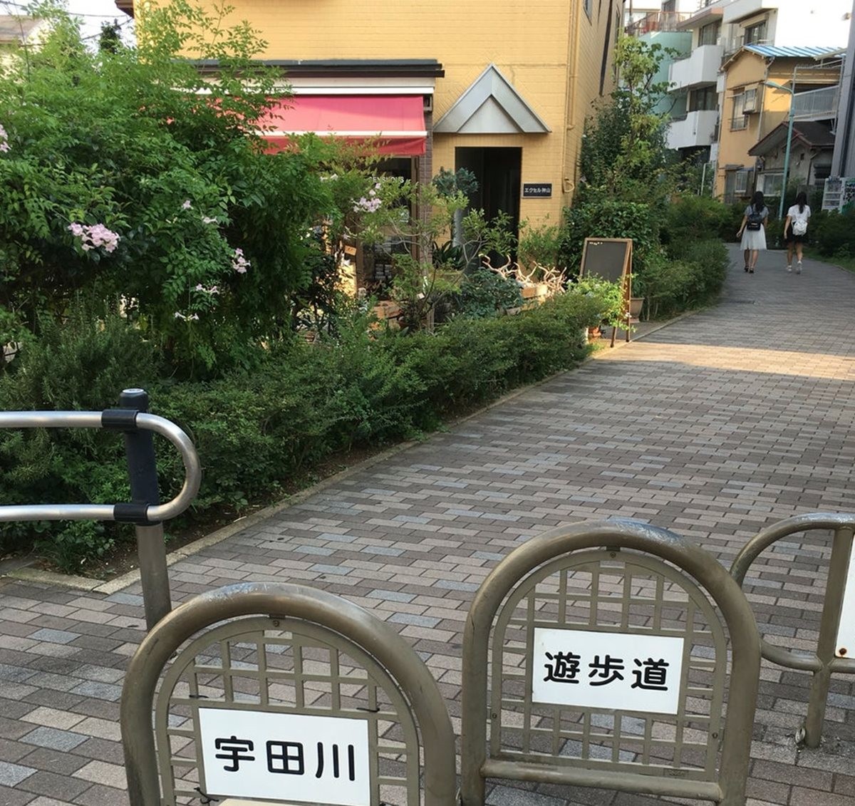 マイクロブタカフェ「pignic cafe 代々木公園店」オープン！