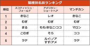 最新 ペットの名前ランキング 発表 犬 猫共に同じ名前が1位を獲得 22年5月18日 ライフ クランクイン トレンド