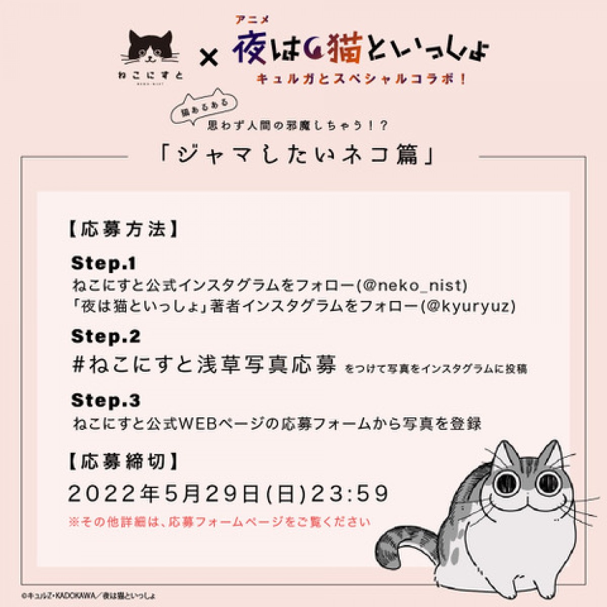 アニメ『夜は猫といっしょ』8.3放送開始　キャストは高垣彩陽、日野聡、種崎敦美