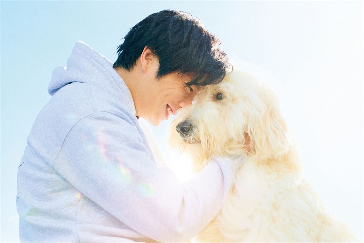 田中圭「ハウのピュアさにずっと癒されていた」　豪華キャストと保護犬“ハウ”の心温まる場面写真公開