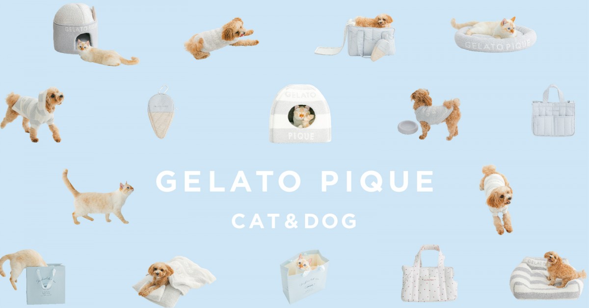 「GELATO PIQUE CAT＆DOG（ジェラート ピケ キャット＆ドッグ）」