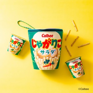 20220705_「Calbee じゃがりこ ポーチ BOOK」