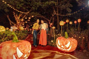 「花の街のハロウィーン〜秋の大収穫祭〜」