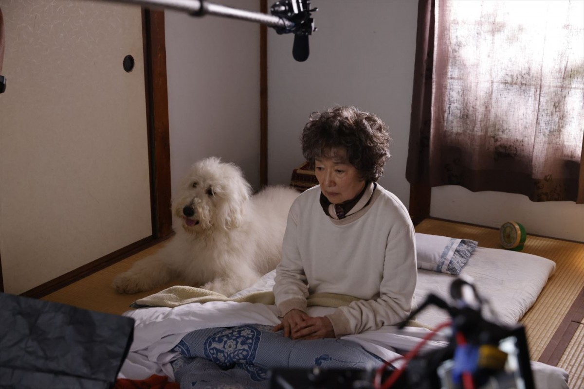 田中圭ら、俳優犬ベックのかわいすぎるNGにメロメロ　映画『ハウ』現場オフショット映像到着