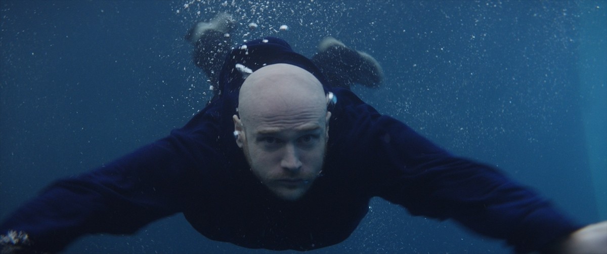 東京目指して大冒険！『シャイニー・シュリンプス！世界に羽ばたけ』場面写真解禁　監督の来日も決定