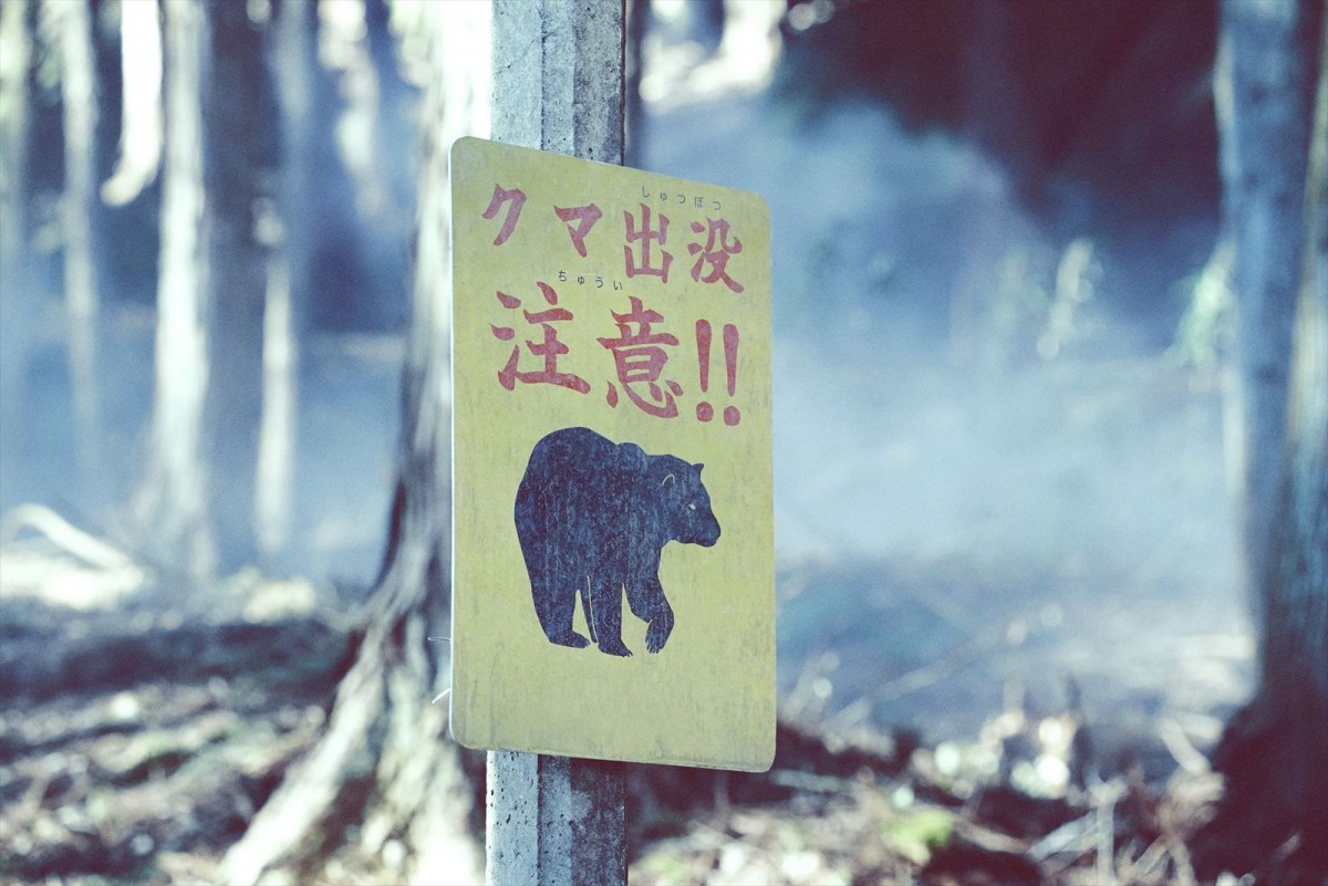 相葉雅紀の身に起きた“写真を撮っても写らない”怪異　苦手克服法も明かす