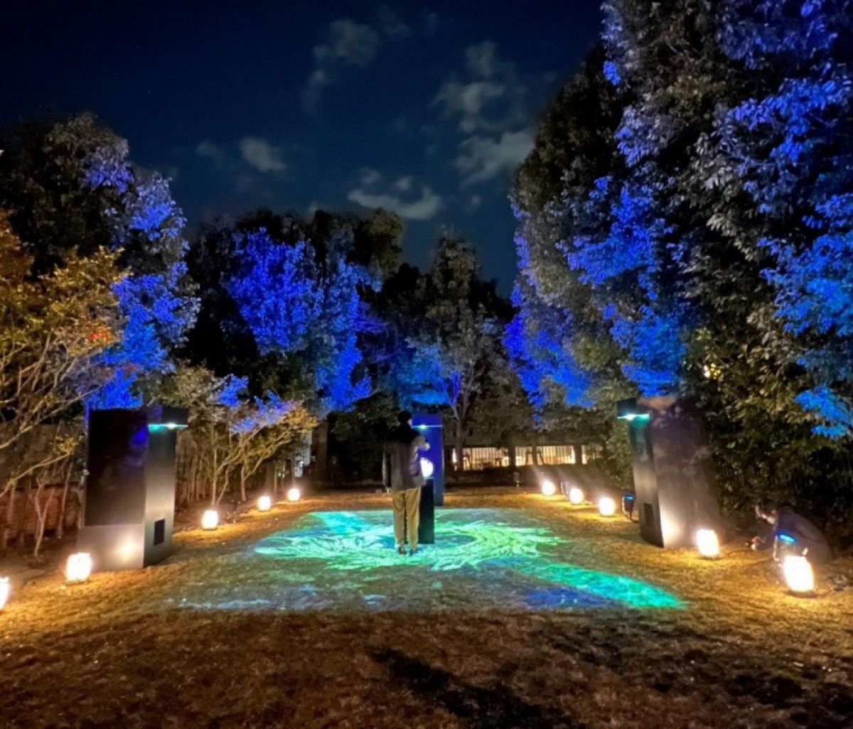 京都で“天橋立を灯りでつなぐナイトイベント”開催！　ネイキッド演出の幻想的な空間
