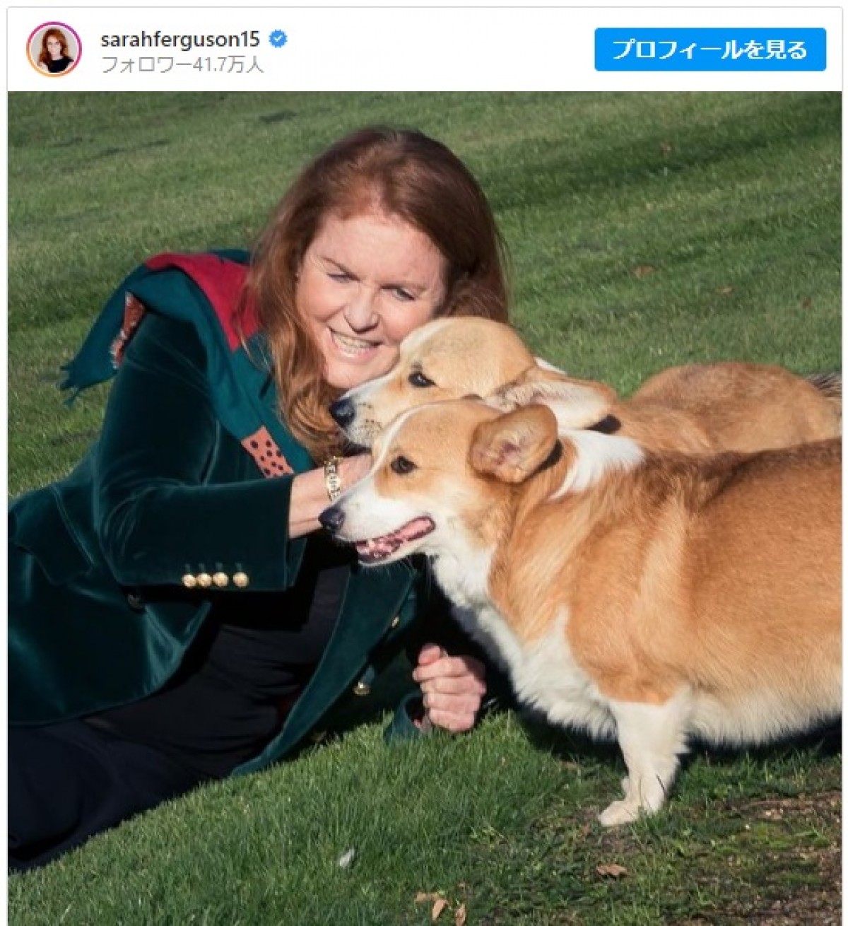 エリザベス女王のコーギーを引き取ったサラ・ファーガソン、愛犬たちとの写真公開