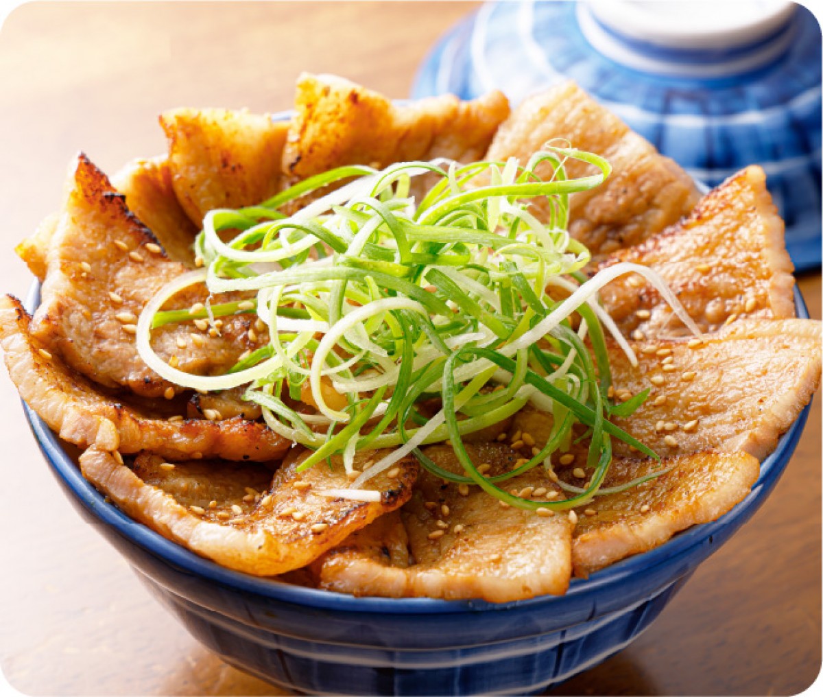 221104_阪神丼フェス