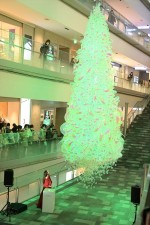 新木優子、「表参道ヒルズ クリスマスイルミネーション 2022 点灯式」に登場