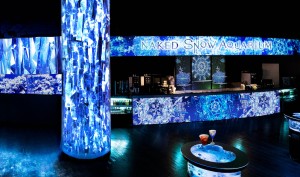 221220_NAKED SNOW AQUARIUM