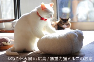 「ねこ休み展」3年ぶりに広島で開催！