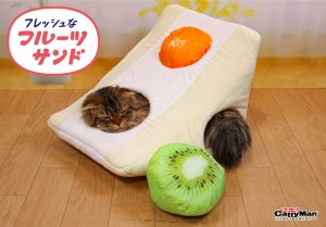 猫ちゃんが“ひんやりおやつ”に？