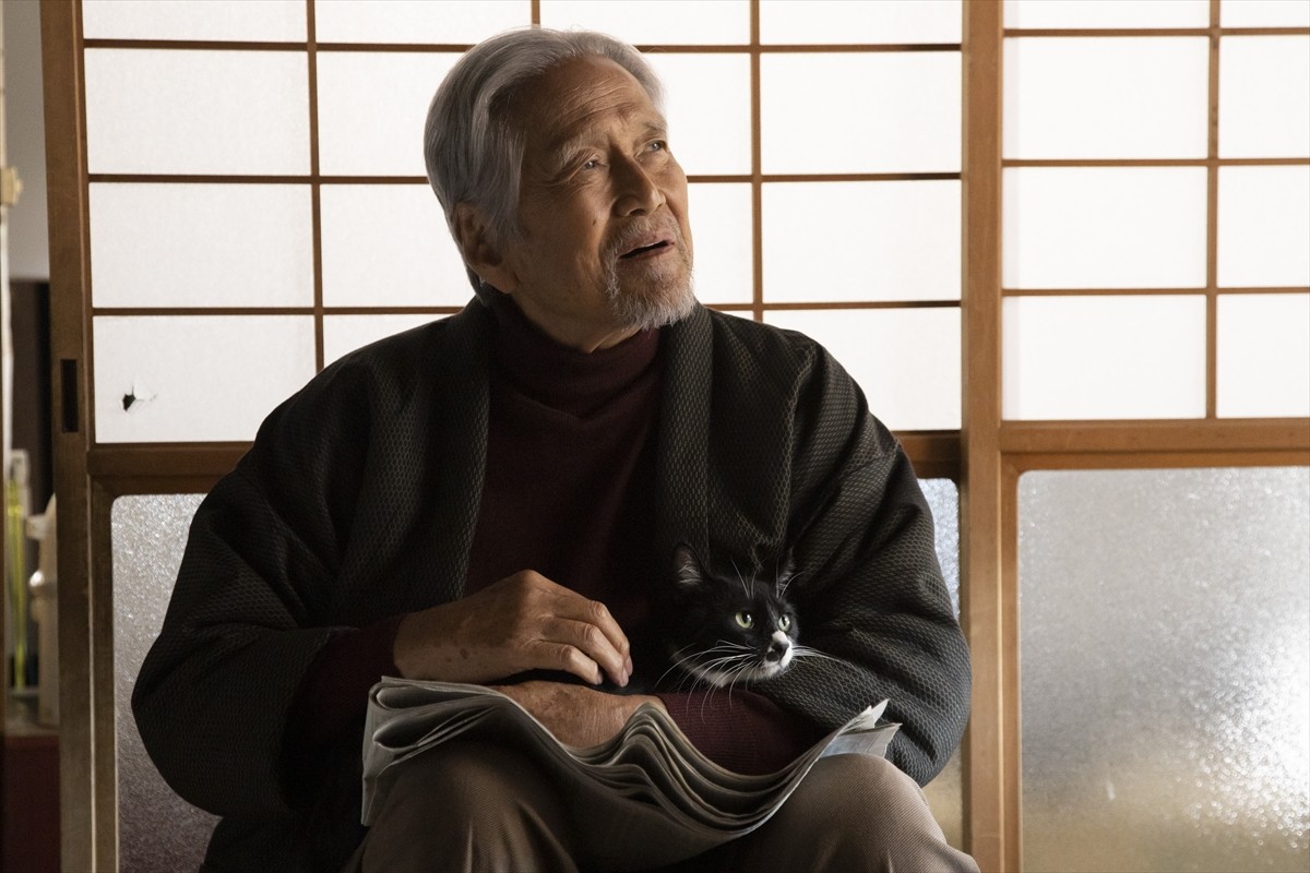 古川雄輝「僕レベルだとまだニワカ」　猫好き主人公にほっこり『ねこ物件』場面写真解禁