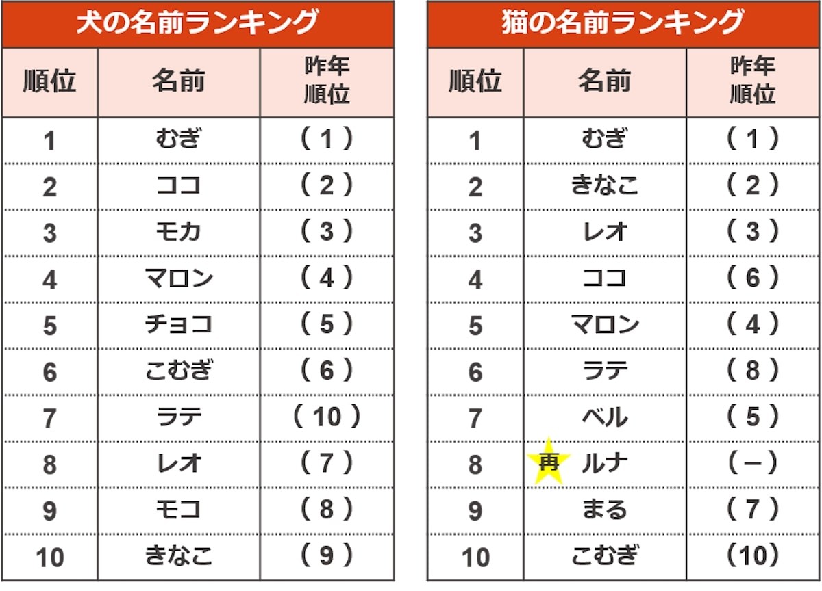 ペットの名前ランキング2022
