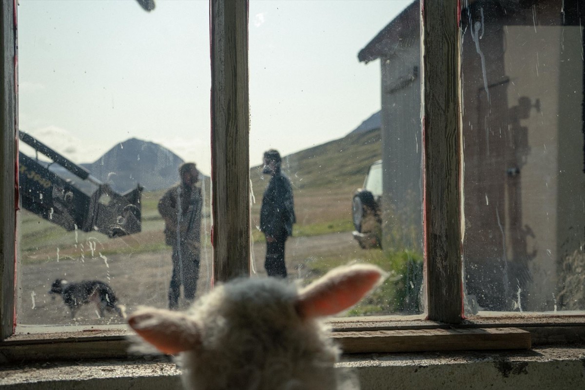 禁断の“羊”の物語　アイスランドでスマッシュヒットの異色作『LAMB／ラム』の監督に聞く
