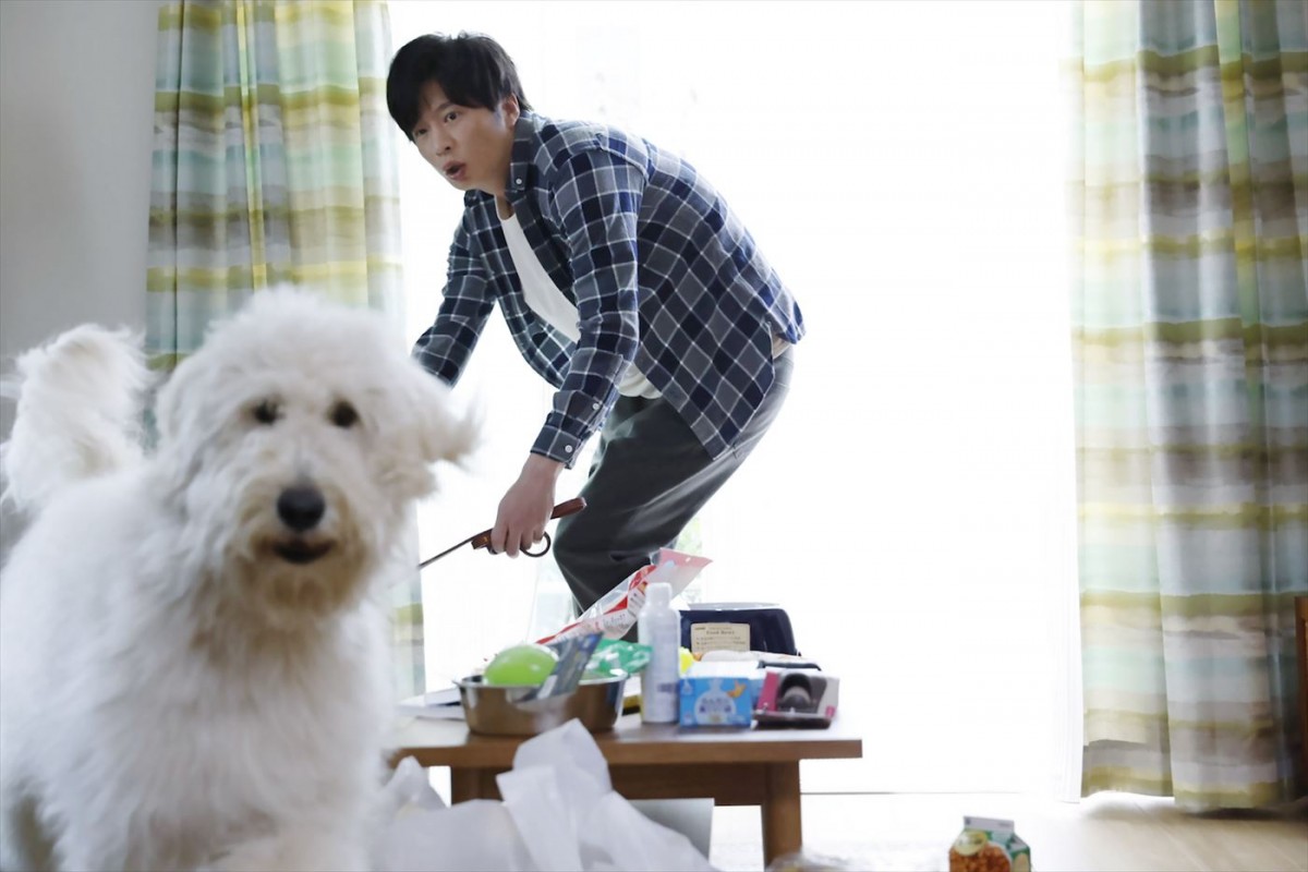 田中圭＆俳優犬ベックの幸せな日々　石田ゆり子の優しいナレーションにも注目の映画『ハウ』本編映像