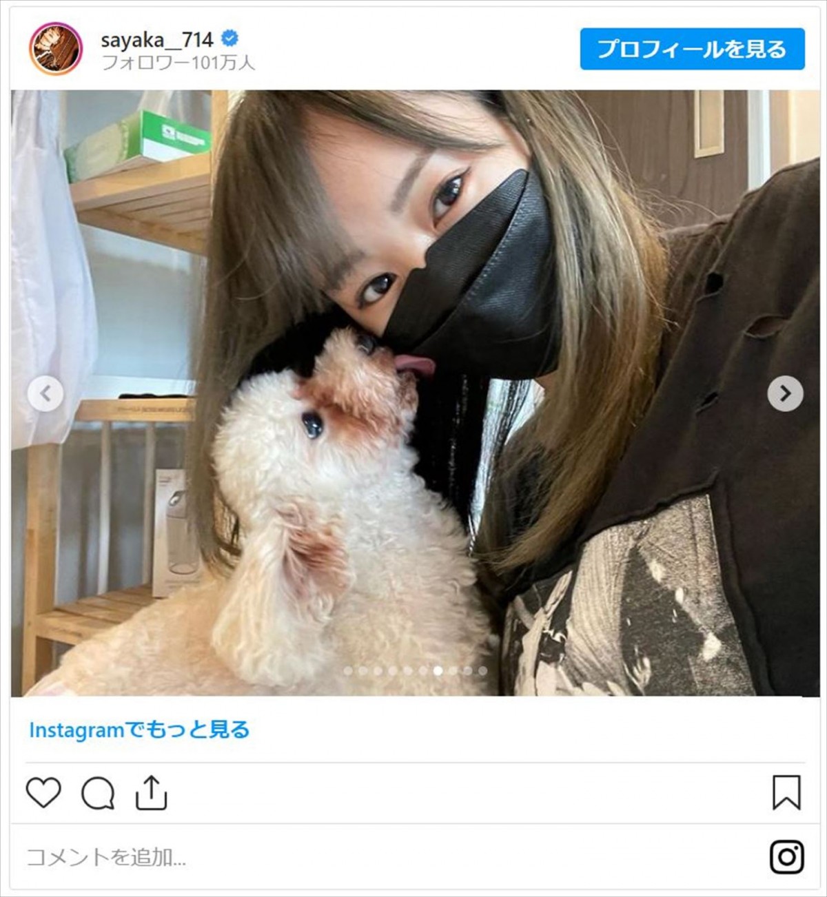 山本彩、“保護犬・猫カフェ”へ「小さくても出来ることは確実にある」