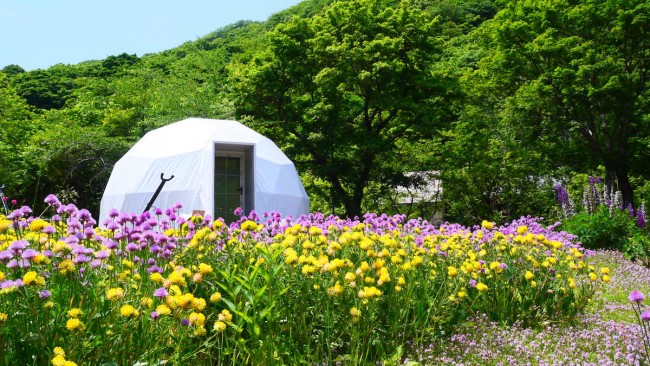 北海道に“自然に囲まれたグランピング施設”が誕生！　夏には花、冬には雪の絶景広がる