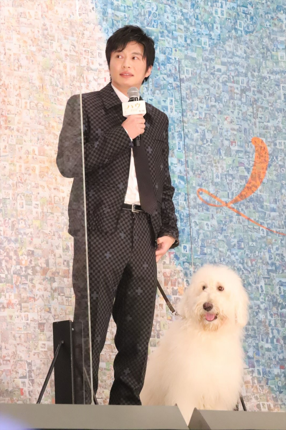 田中圭、俳優犬・ベックの演技に「ズキュンでした」私生活で最近癒された存在も告白