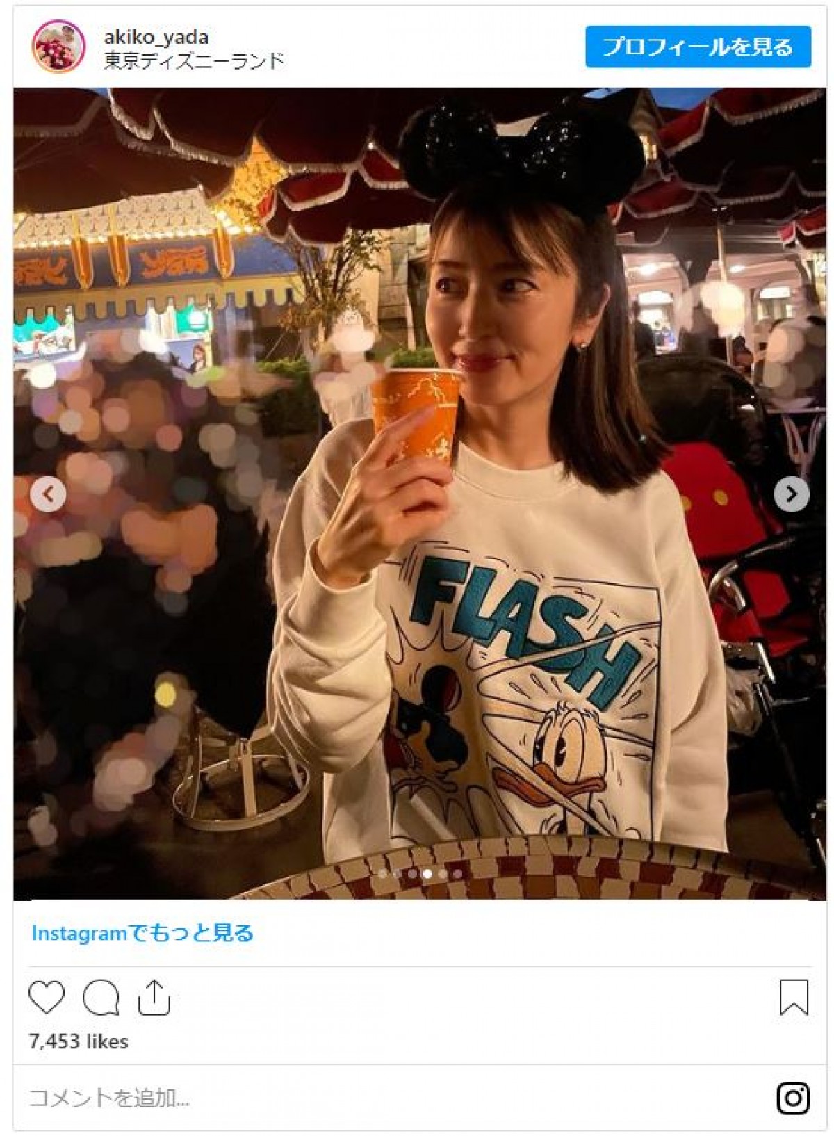 矢田亜希子、東京ディズニーランドを満喫“被り物シリーズシリーズ”一挙公開