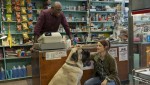 映画『僕のワンダフル・ジャーニー』より食いしん坊の大型犬ビッグ・ドッグ