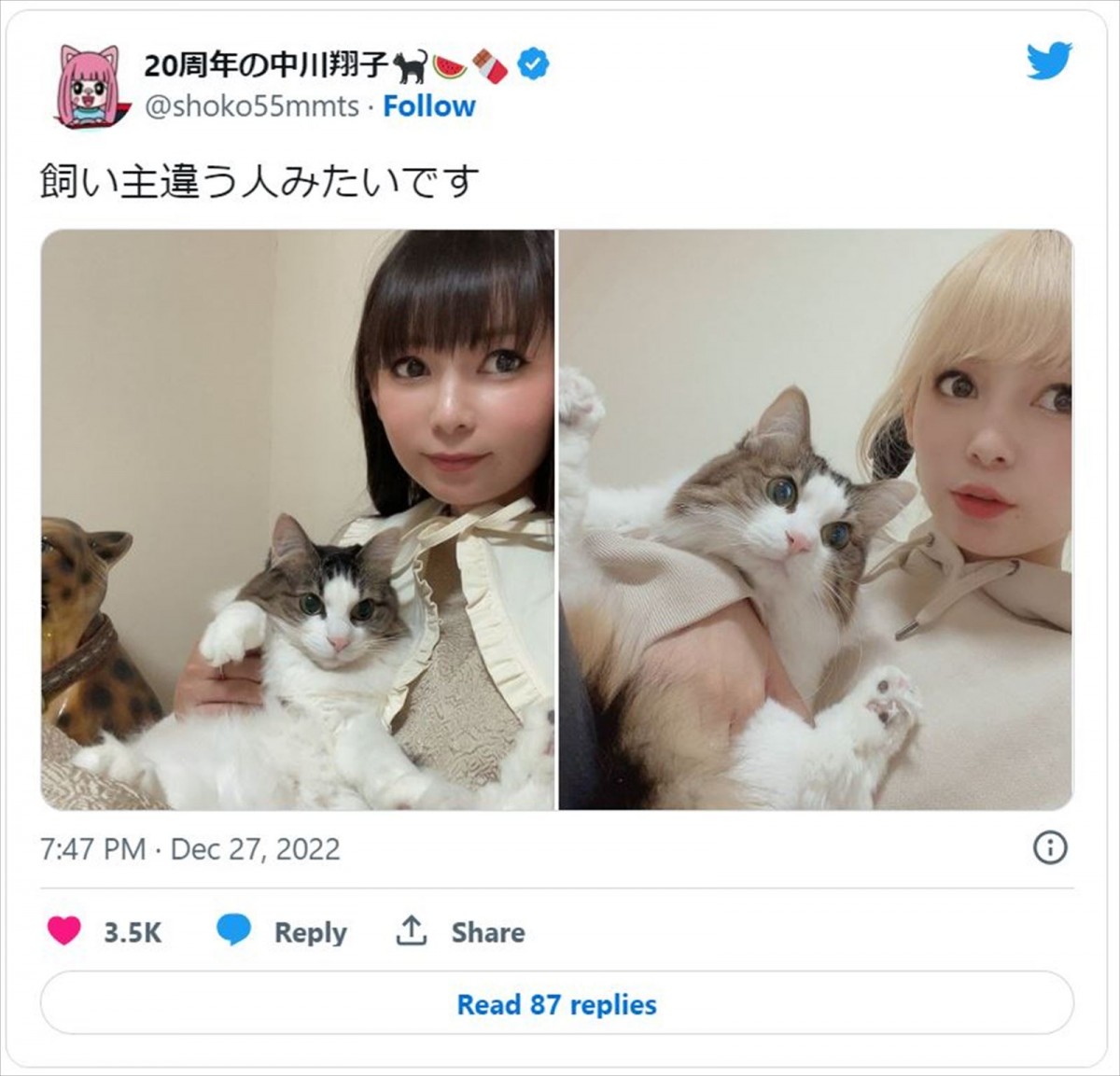 中川翔子、金髪→黒髪ロングに大変身で愛猫もびっくり？　「飼い主違う人みたい」