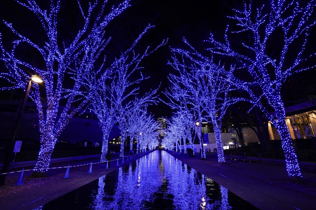 渋谷「青の洞窟」3年ぶりに復活！　街を青く包み込む大人気イルミネーション