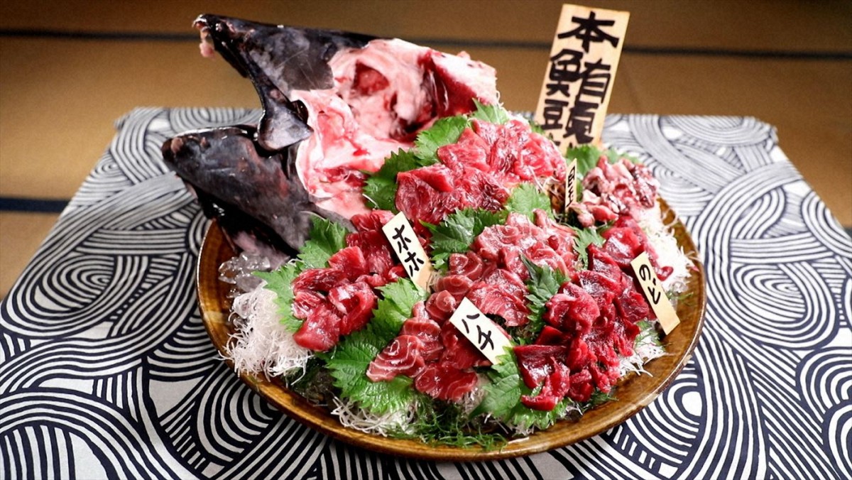 ザ・クロマニヨンズ・甲本ヒロトがさかなクンと水族館へ！　『ギョギョッとサカナ★スター』SP、1.5放送