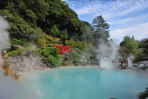 「2022年全国の宿 自慢の看板猫ランキング」