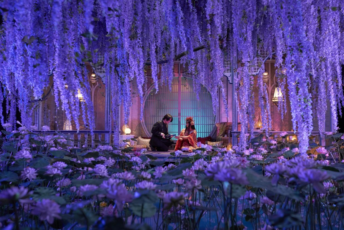 柴咲コウ「毎回ファッションショーのような気分」　『ホリック xxxHOLiC』侑子の衣装写真解禁