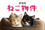 劇場版『ねこ物件』ビジュアル