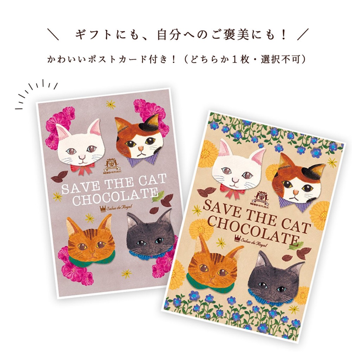 猫達の命を救うチョコレート！