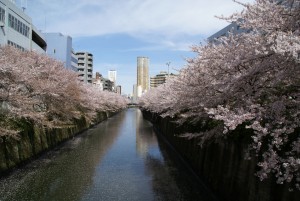 20220411＿山手線沿線で住みたいと思う街ランキング