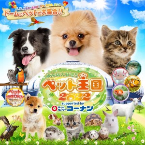 大阪で「みんな大好き!!ペット王国」開催！　ペンギンと撮影など様々なコンテンツを用意