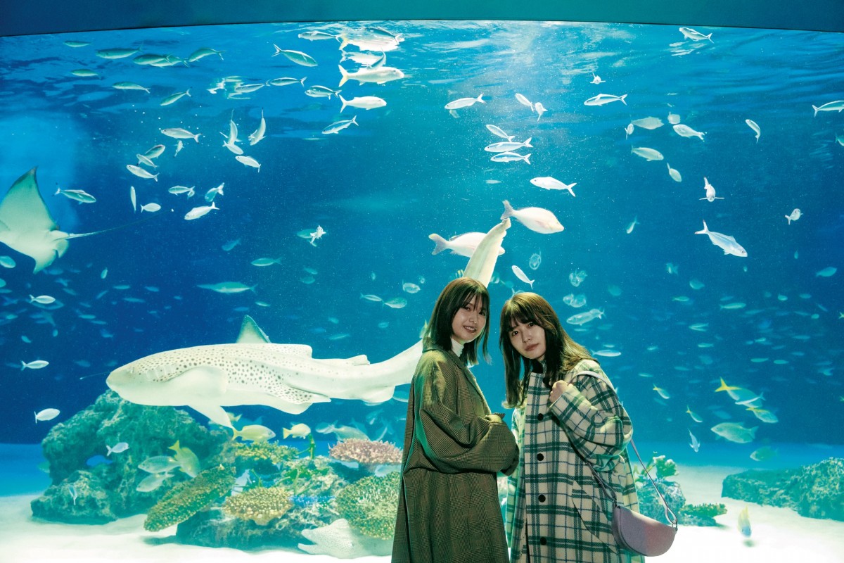 櫻坂46・渡邉理佐が振り返る、アイドルとしての約7年　苦難の時期も「自分を強くしてくれた」