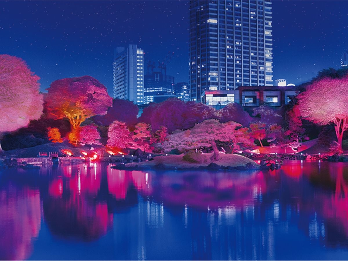旧芝離宮に満開の“光の桜”が咲き誇る！　4日間限定のライトアップイベント開催